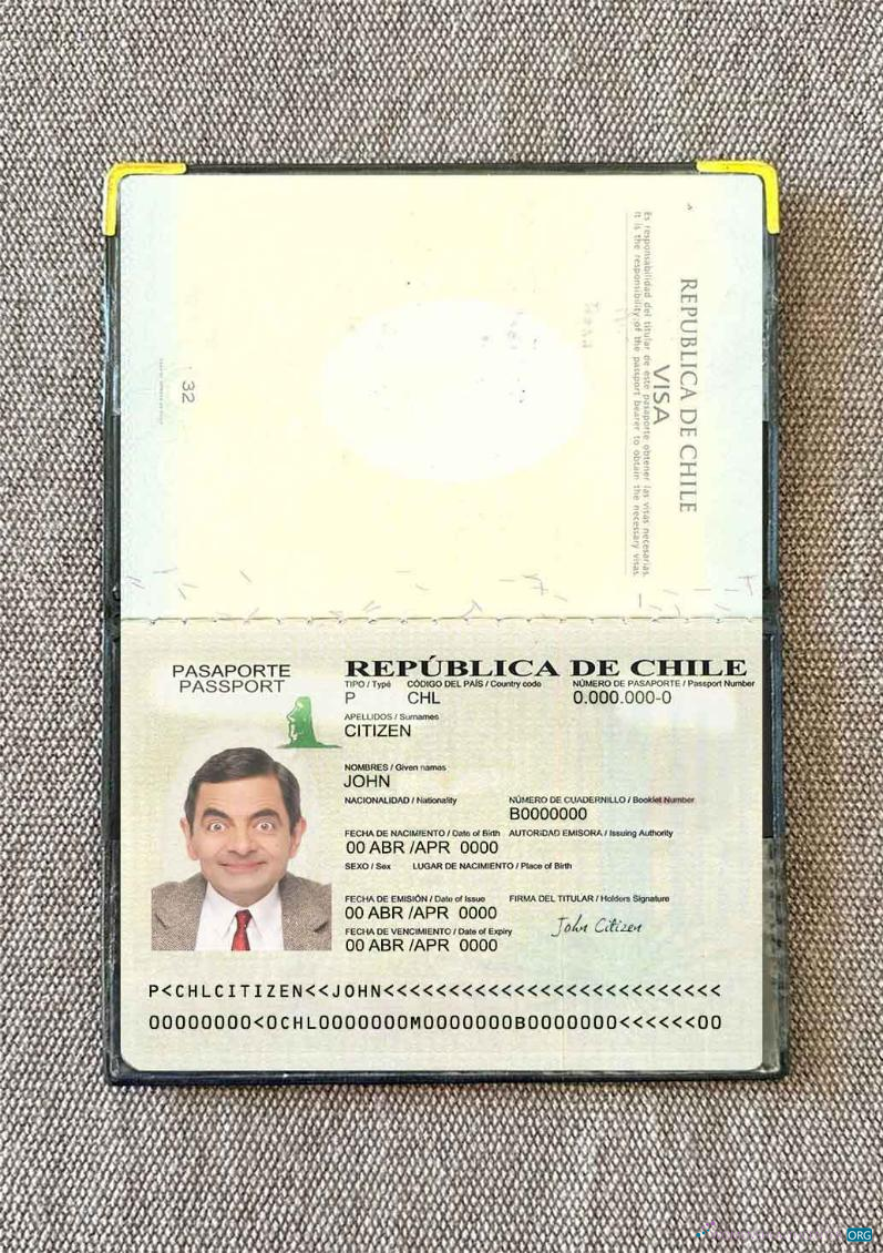 Download Chile passport version 2 photo look Photoshop template